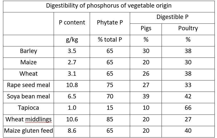 Why? How? What? Feed Grade Monocalcium Phosphate